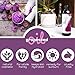 Grapeseed Oil Pure Carrier Oil Cold Pressed Grape Seed Extract Carrier Oil for Essential Oils Mixing Natural Body Oil for Dry Skin Moisturizer Massage Lotion for Aromatherapy Nails and Hair Growth 4oz