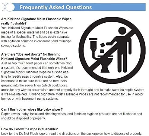 Kirkland Signature Moist Flushable Enhanced Cleansing & Freshness Ultra Soft Hypoallergenic Plant-Based Wipes - 632 Count #TOP6