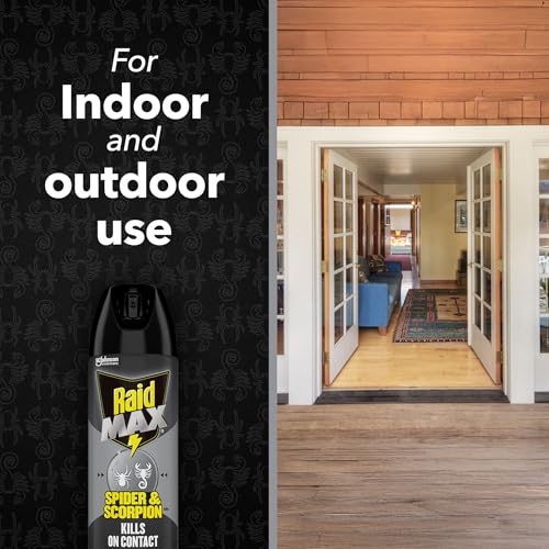 Image of Raid Max Spider and Scorpion Killer, Kills Spiders, Scorpions, Roaches, Ants, Waterbugs, Earwigs, 12 Oz