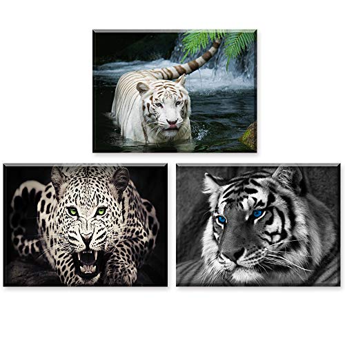 Piy Painting, 3 Pièces Impression sur Toile, Guépard et Tigre Tableau, Animal Photos d'œuvres d'art pour Le Bureau à Domicile Peinture Décoration Moderne comme Cadeau d'anniversaire (30x40cm, 3Set)