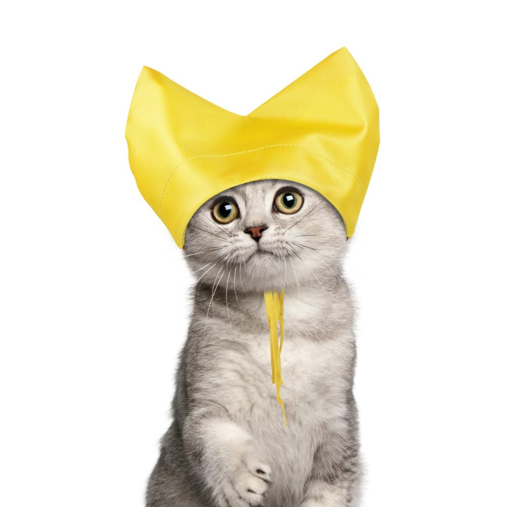 Gorros de ducha para gatos, gorro de baño impermeable para gatitos, protección para los oídos para gatos, gorro para mascotas, protector de orejas, gorro de ducha para gatos y perros pequeños, baño