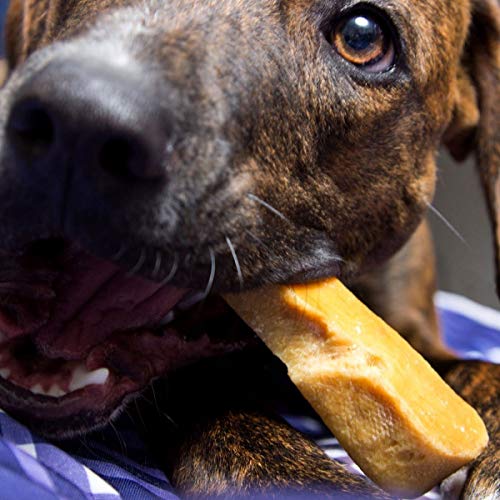 Ecokind Pet Treats Gold Yak Dog Chews | Grade A Quality, Healthy & Safe For Dogs, Odorless, Treat For Dogs, Keeps Dogs Busy & Enjoying, Indoors & Outdoor Use (Large (Pack Of 1)) #TOP7