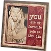 Primitives by kathy you are my favorite pain decorative picture frame  urban country home decor