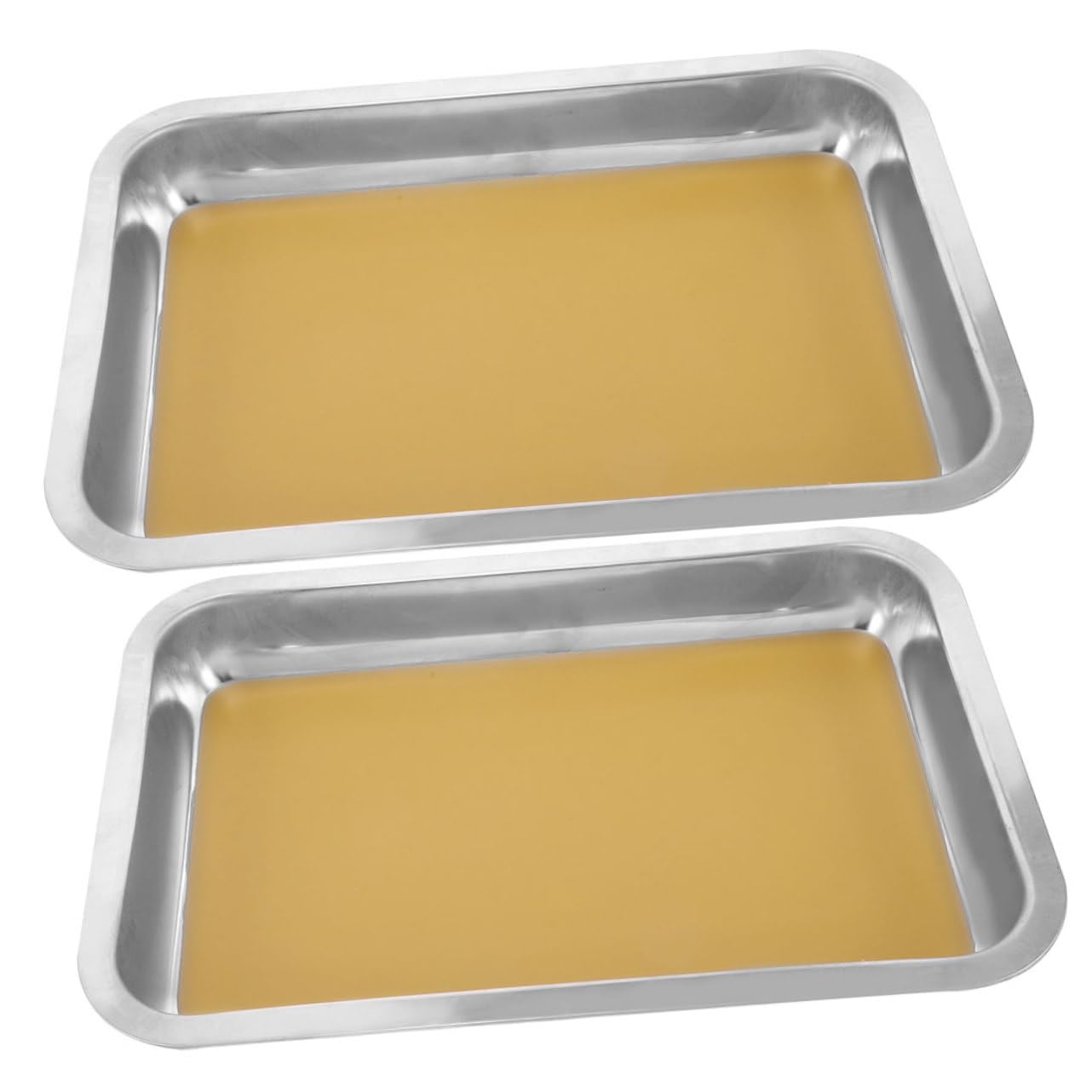 YARNOW 2pezzi Vassoio Per Dissezione in Acciaio Inossidabile Con Base in Cera Formato Per Laboratori Biologia Anatomia Scienze Insegnanti Studenti e Scuole