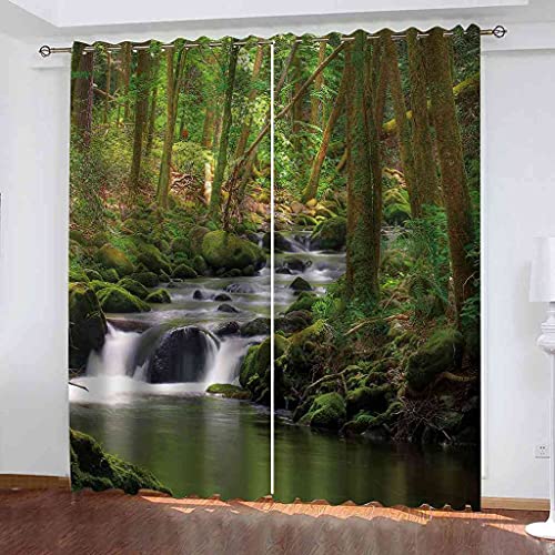 JORILS Cortinas Opacas Dormitorio 2 Piezas, 140x160cm Bosques, Arroyos, ríos Cortina termicas aislantes Frio y Calor Decorativas para Oficina Salon Moderna Habitacion de Ventanas Cover
