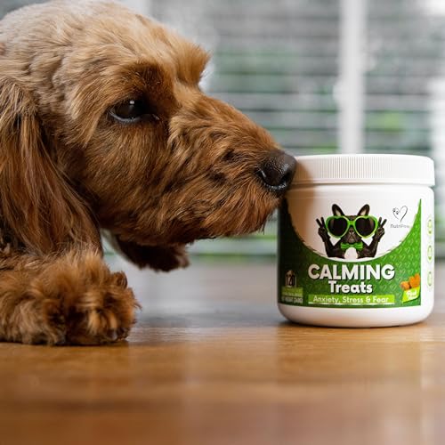NutriPaw Beruhigungs-Leckerlis für Hunde - Reduzieren Stress, Angst, Trennungsangst, Bellen, Hyperaktivität, Reaktivität, Aggression, Reiseprobleme - Entspannung ohne Schläfrigkeit für Hunde