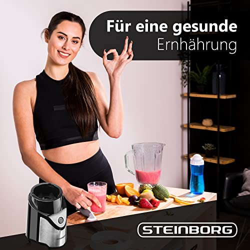 Standmixer mit Glasgefäß und 6-Fach Metallmesser für Smoothies