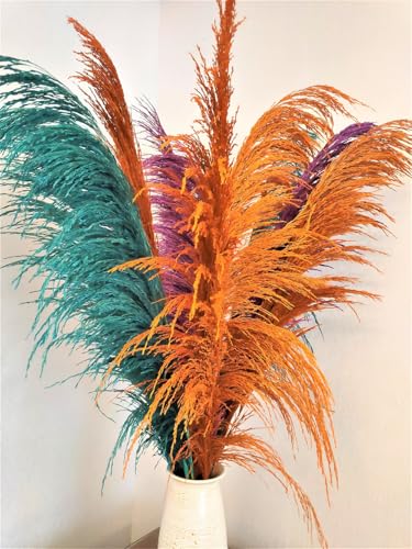 Pampas Grass Grande Natural 80-120cm 12 unidades miniatura 2