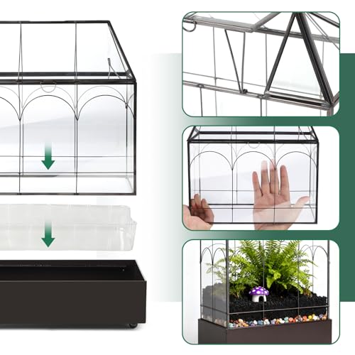 EFUTURETIME Mini Gewächshaus Fensterbank Glas mit Auffangschale 24,2 x 14,7 x 29 cm Pflanzenterrarium Klein Flaschengarten DIY (Keine Pflanzen enthalten) Deko für Sukkulenten, Kakteen