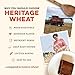Sunrise Flour Mill USDA Organic Heritage Whole Wheat Pastry Flour - 5 lbs | Milled from White Sonora | Easier to Digest with Less Bloating | No Bleaching or Bromating | Zero Additives
