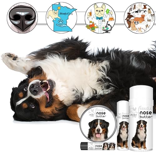 Image of The Blissful Dog Bernese Mountain Nose Butter, Versatile Dog Nose Balm for Dry Nose, Handcrafted Nose Moisturizer, Easy-to-Apply Dog Essentials, Unscented, 16 oz.