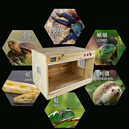 Reptielenterrarium Voerbak voor huisdieren Amfibie kooi Transparante reptielen hoge doos Onafhankelijke lichtschakelaar… - Afbeelding 5