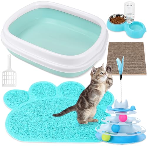 Kit de inicio para gatitos con caja sanitaria azul y accesorios miniatura 1