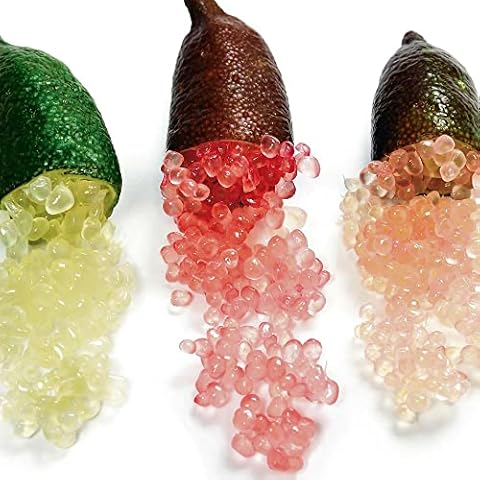 YEGAOL Garden Finger Lime Seeds Cover