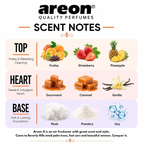 Image of AREON X AXV02 Hanging Best Car Air Freshener Vanilla Scent, 12 Pack