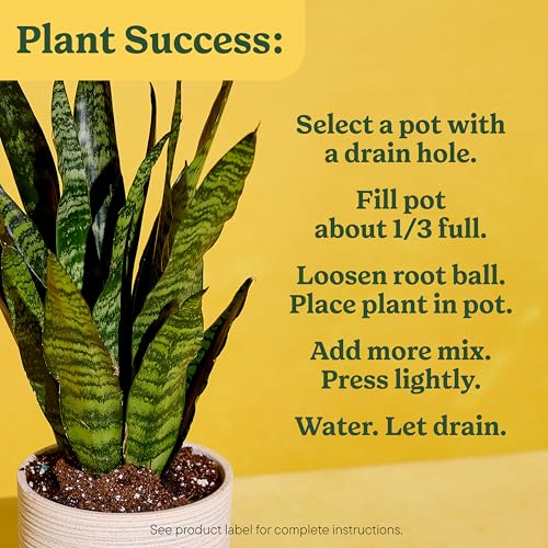Miracle-Gro Indoor Plant Grow, Feed & Protect Houseplant Care Bundle - image 6