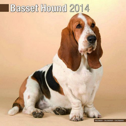 Basset Hound 2014 Wall Calendar