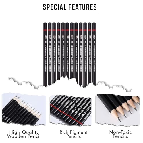 Image of PAXCOO Set of 12 Pcs Professional Drawing Sketching Pencil Drawing Art Pencils Graphite Shading Pencils for Beginners & Pro Artists Professional Sketch,Suitable for Art Design, Shading, Adults & Kid