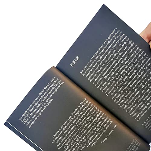 A dinâmica da revolta: Sobre insurreições passadas e outras por vir: Volume 1