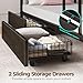 Rolanstar Metal Bunk Bed Twin Over Twin with USB Charging Station, LED Bunk Bed with 2 Storage Drawers, Bed with Safety Guardrail & Ladders, No Box Spring Needed, Easy Assembly, Black