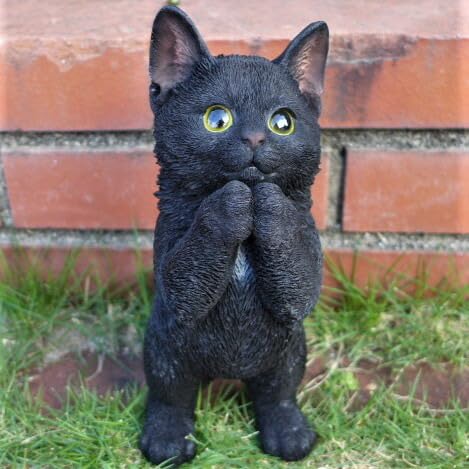 Amazon.co.jp: 猫の置物 子猫のお願い 黒猫 BK76QY クロネコ