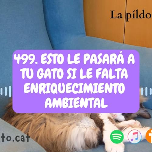499. Esto le pasará a tu gato si le falta ENRIQUECIMIENTO AMBIENTAL cover art