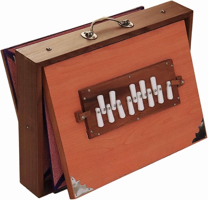 Shruti Box Ply Boitier pour instrument de musique avec sac accordé 440 Hz, couleur naturelle (40,6 x 30,5 x 7,6 cm, 432 Hz sur demande)