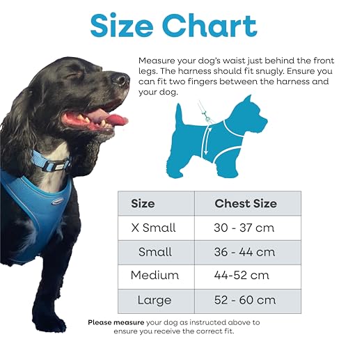 Harnais pour chien imperméable et léger ajustable pour l'extérieur - 6