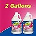 OdoBan Pet Solutions No Rinse Neutral pH Floor Cleaner Concentrate, Made in the USA, 2 Gallons