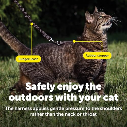 PetSafe Come with Me Kitty Geschirr und Bungee-Leine, Geschirr für Katzen, Größe M, Schwarz/Silber