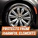 Armor All Extreme Tire Shine Spray , Tire Cleaner and Shine, 22 Fl Oz Each, 6 Pack