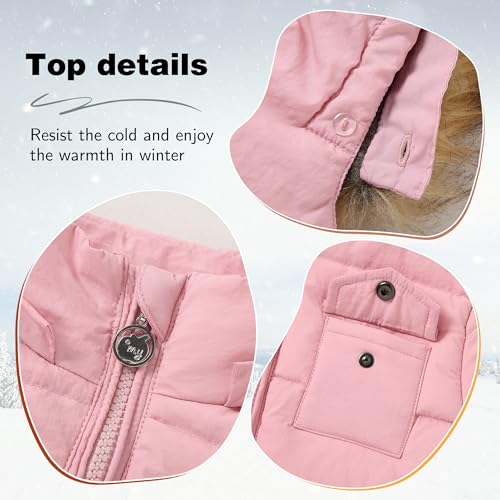 CARETOO Toddler Boys Girls Winter Down Coats Snowsuit Outerwear 2Pcs Clothes Hooded Jacket Snow Ski Bib Pants Outfits Set4