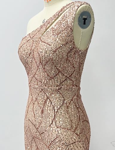 Image of Women One Shoulder 1920s Plus Size Formal Dress Tassels Sleeve Sequins Gatsby Maxi Evening Gown