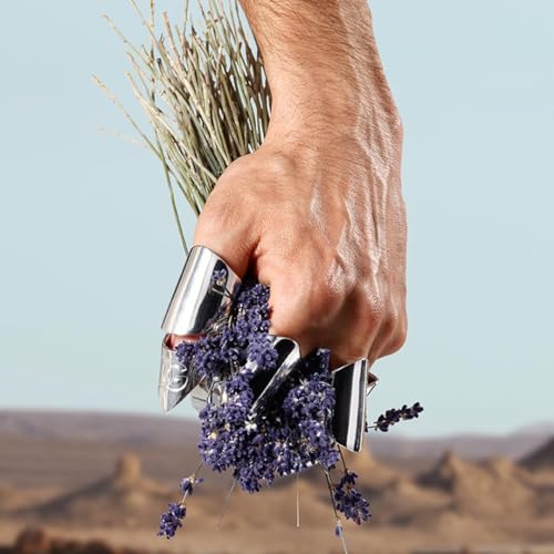 Image of Dolce&Gabbana K, Eau De Toilette Spray, For Men