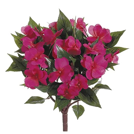 New Guinea Impatiens Bush Beauty Pack