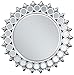 ACME Furniture Flo Accent Wall Mirror, Silver