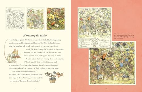 A Visit to Brambly Hedge: An illustrated companion to the world of Brambly Hedge, perfect for collectors and fans of Jill Barklem! - Image 4