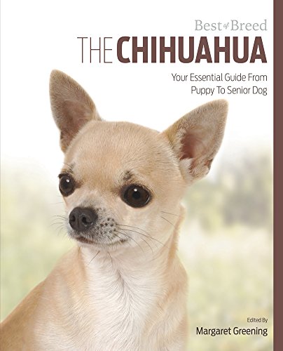 The Chihuahua: Your Essential Guide from Puppy to Senior Dog (Best of Breed)