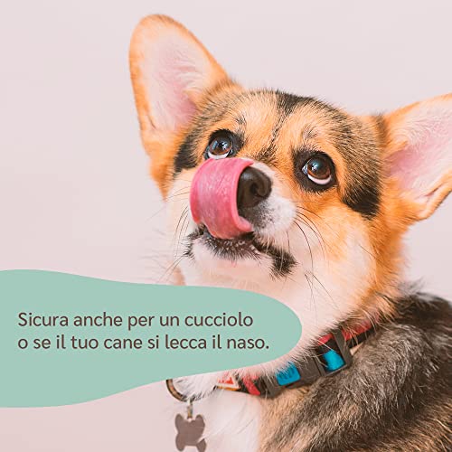 amusi Crema Naso Cane Naturale 100 ml Made in Italy con Calendula - Contro Dermatite e Secchezza | Balsamo Naso Cane Idratante per Il Tartufino Irritato dal Sole - Crema Naso Bulldog Francese