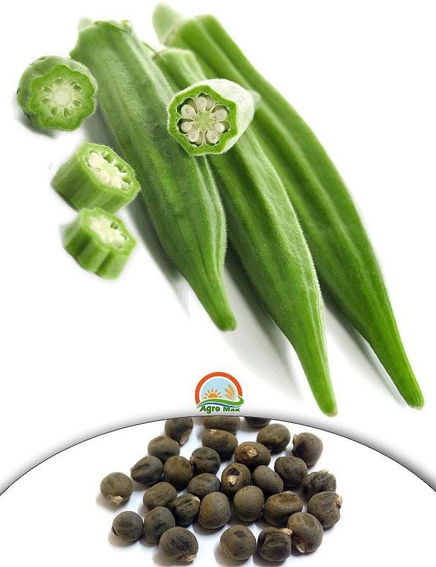 Sofy farm Okra Lady Finger Vegetable Seeds vegetables (pack of 370