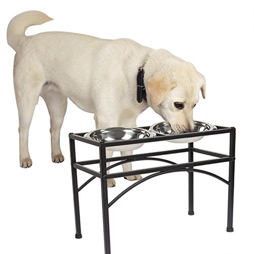 Gamelle surélevée double pour chien grand format qui protège le cou L - 2