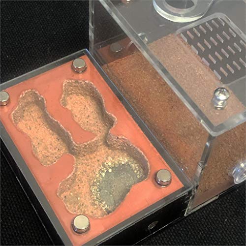 ZSBY Mieren Boerderij Insect Ant Villa Hydraterende Licht Shading Ecologische F Mieren Farm Acryl Pleister Mieren Nest… - Afbeelding 5