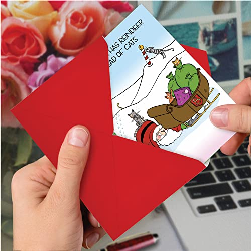 Nobleworks - Merry Christmas Greeting Card With Envelope (4.63 X 6.75 Inch) Funny Cartoon, Happy Holiday Humor - Reindeer Cats 1884 #TOP3