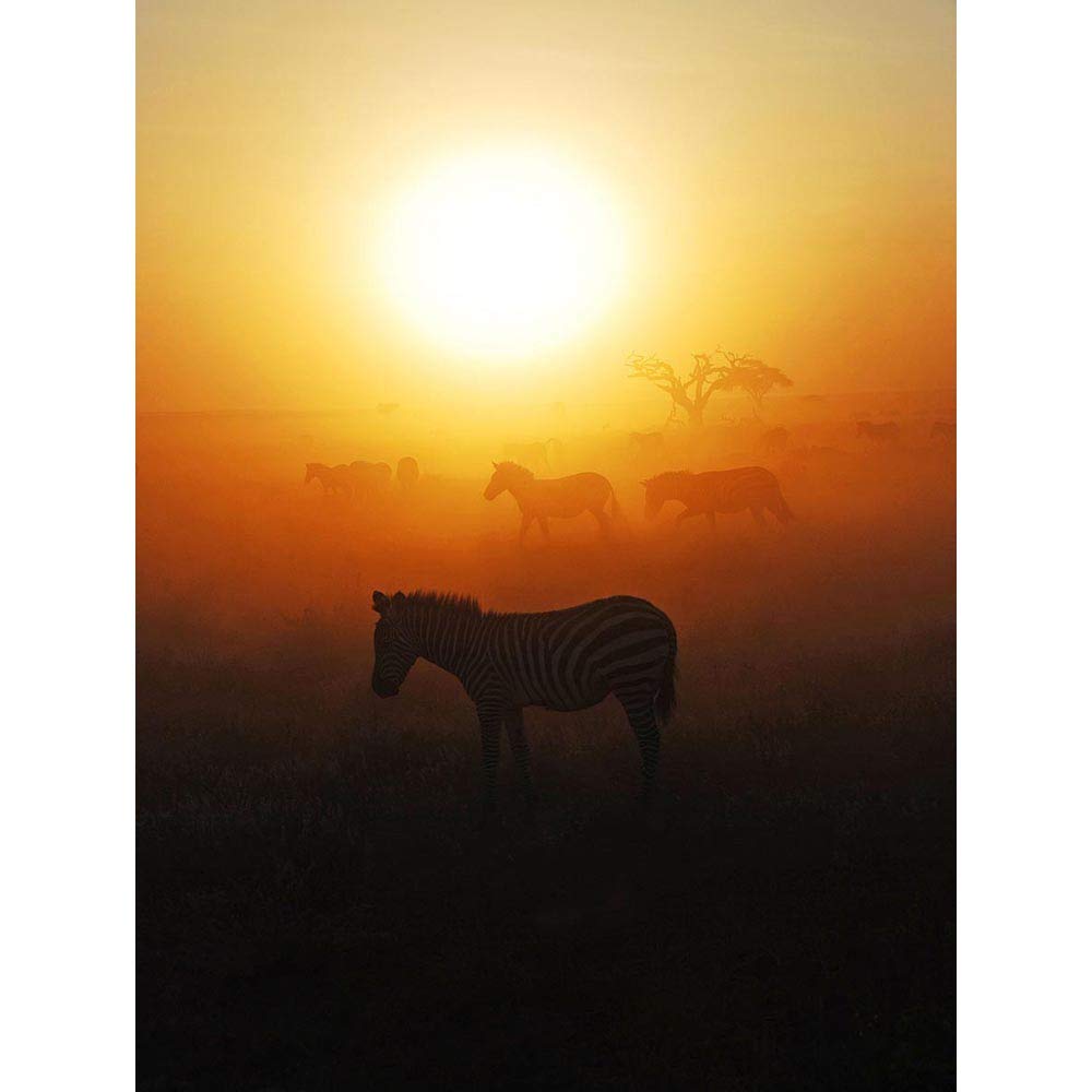 Wee Blue Coo African Sunrise Zebra Kenya Savannah Art Print Poster Wall Decor 12X16 Inch
