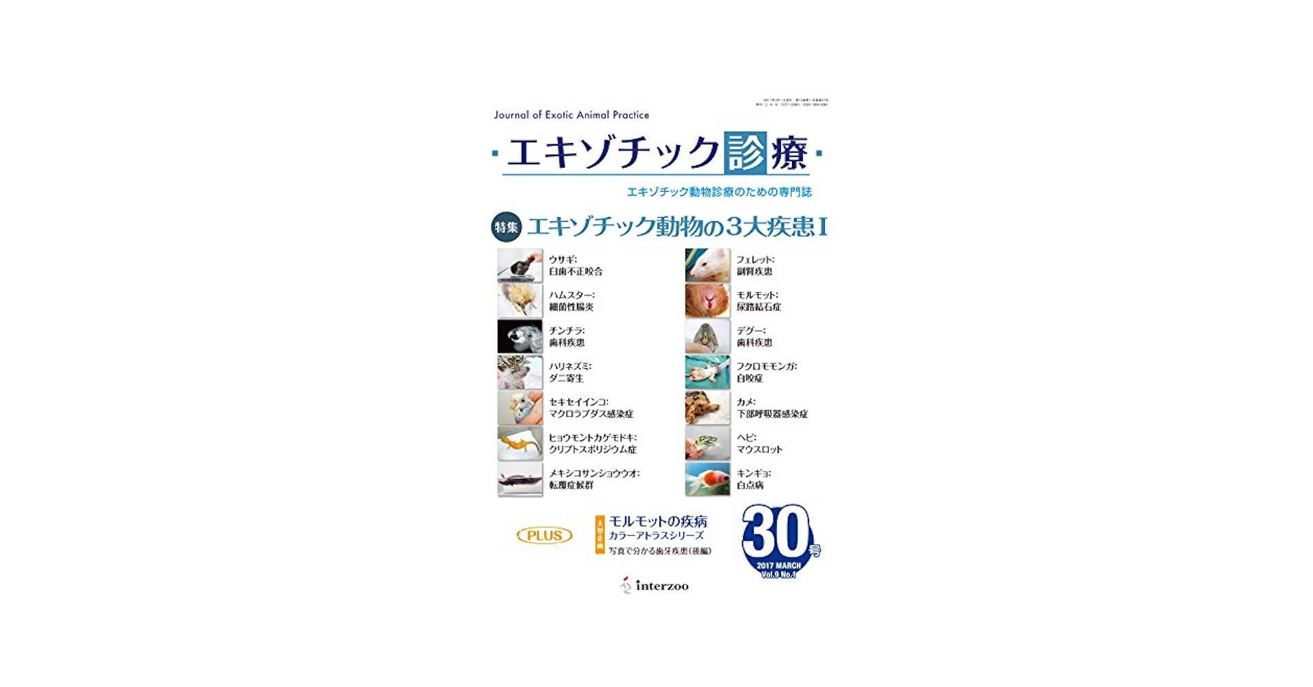 514wkjRIG2L.jpg_BO30,255,255,