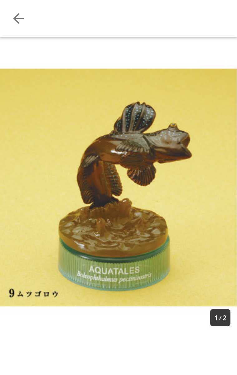 ムツゴロウ 九州物産展