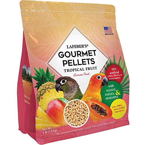 Best Bird Food For Magpies 10Reviewz