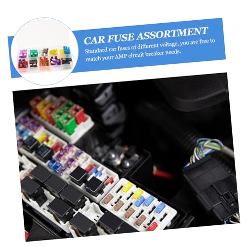 Kit de 50 fusibles automotrices mini surtidos tipo hoja con caja de almacenamiento para autos, RVs, camiones, motocicletas y botes miniatura 3