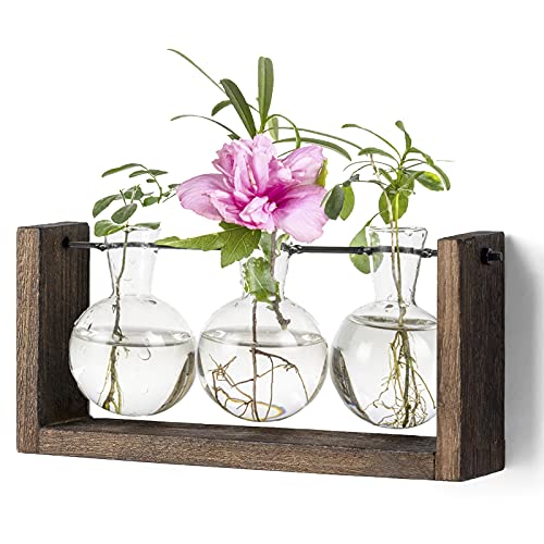 Kingbuy Plant Terrarium with Wooden Stand, Glass Planter Desktop Propagation 3 Bulb Vase Metal Holder Retro Rack for...