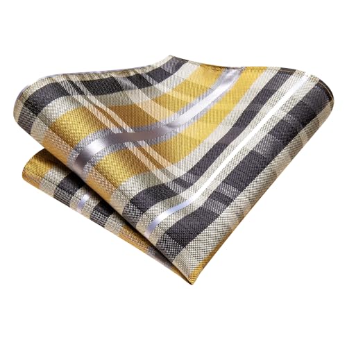 Image of Hi-Tie Mens Plaid Ties Classic Paisley Necktie with Handkerchief Cufflinks Set Business Stripe Tie